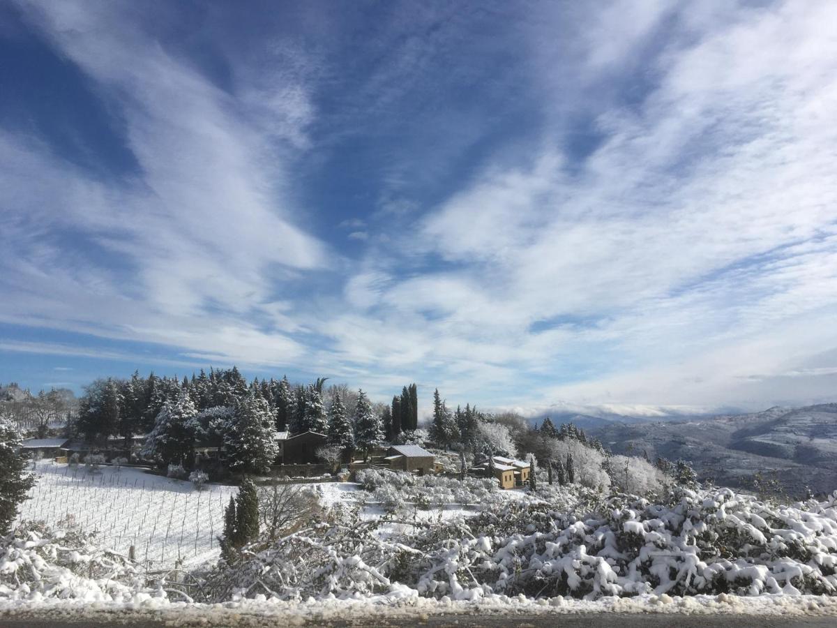 Casa Ercole Farm Stay Greve in Chianti Eksteriør bilde