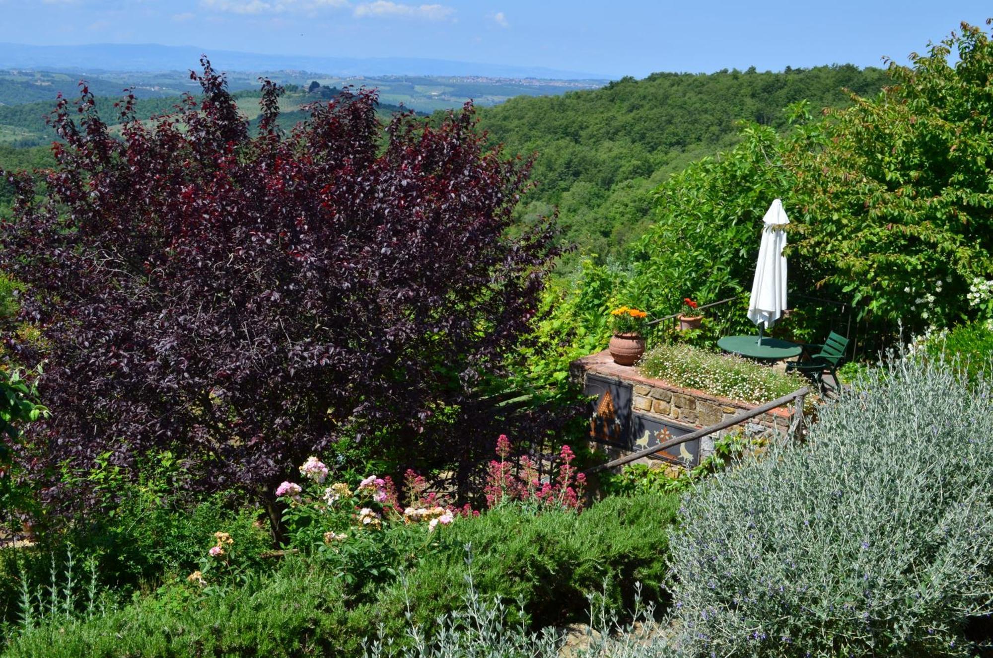 Casa Ercole Farm Stay Greve in Chianti Eksteriør bilde