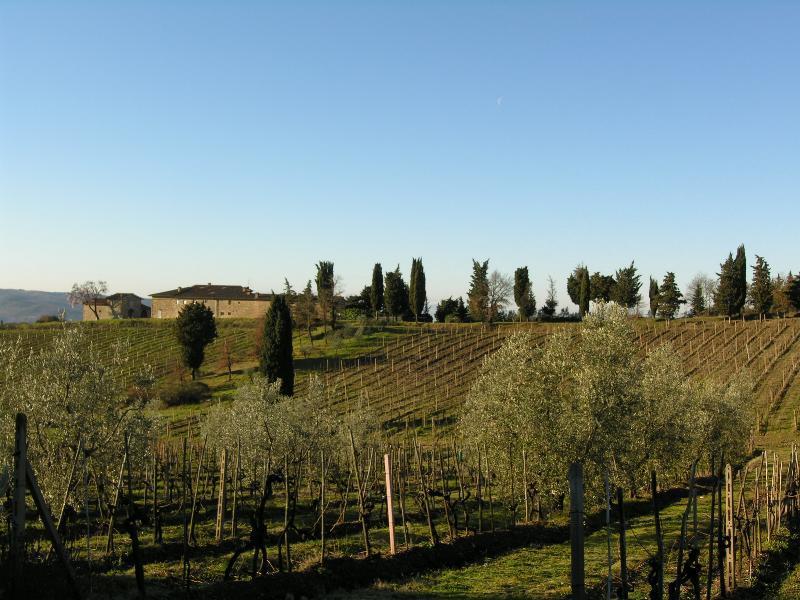 Casa Ercole Farm Stay Greve in Chianti Eksteriør bilde