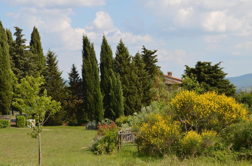 Casa Ercole Farm Stay Greve in Chianti Eksteriør bilde