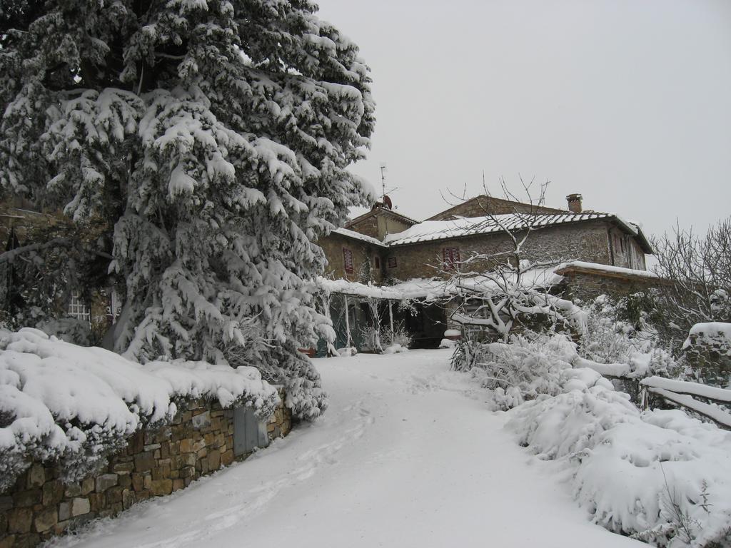 Casa Ercole Farm Stay Greve in Chianti Eksteriør bilde